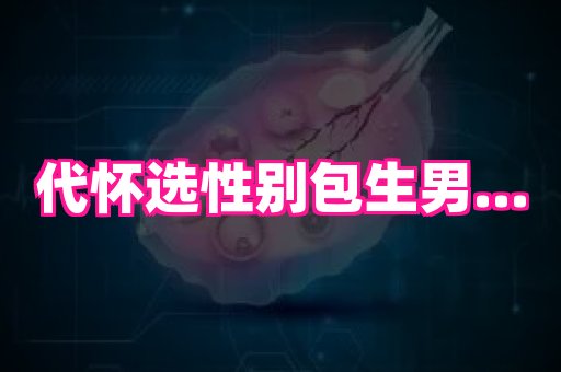 天津助孕网站 1