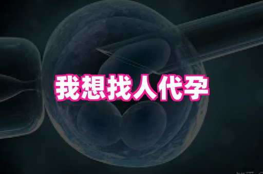 天津助孕网站 2
